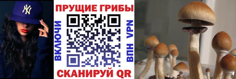 Галлюциногенные грибы Magic Shrooms  Сызрань 